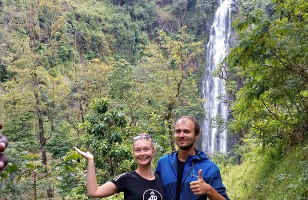 Private Tour to Materuni waterfalls, coffee tour & Kikuletwa hot- springs