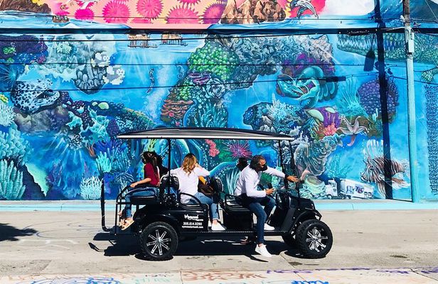 Wynwood Graffiti Golf Cart Small-Group Tour