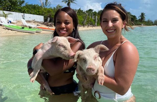 Swim with the Pigs and Explore Caves in Nassau