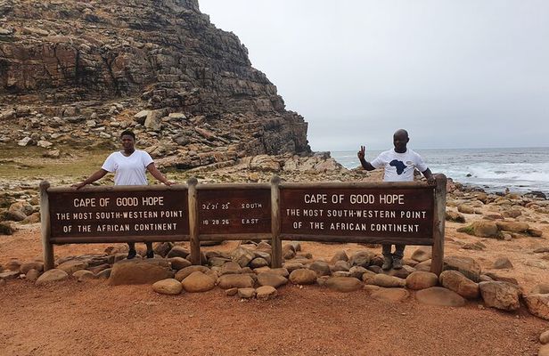 Cape of Good Hope & Penguins Boulder's Beach in Private Car