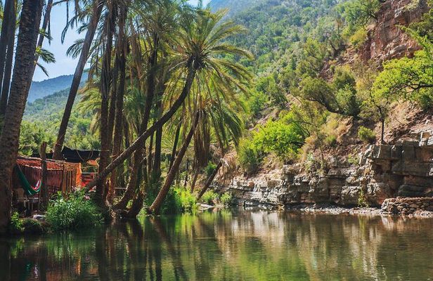 Agadir or Taghazout: Paradise Valley Atlas Mountain Swimming Trip