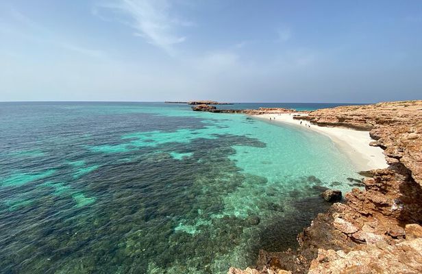 Snorkeling at Dimaniyat Islands and Dolphin Watching