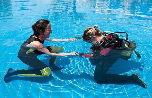 Scuba Diving Open Water PADI Course - Sharm El Sheikh