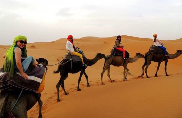 Shared group Fez to Fez Sahara tour 2Days/1Night