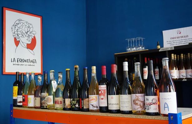 Small-Group Natural and Organic Wine Tasting near Sitges