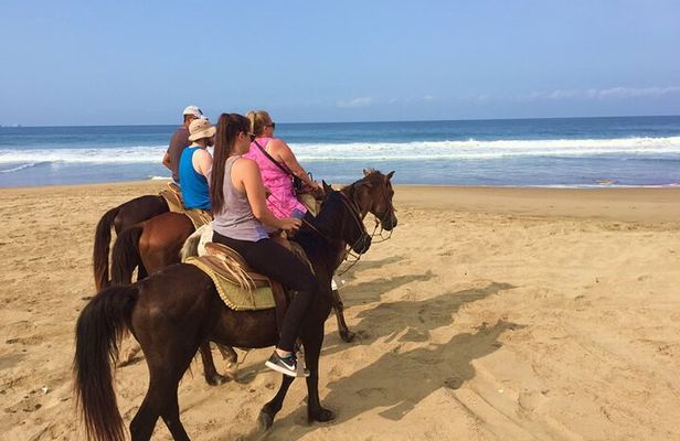 Horseback Riding Playa Larga