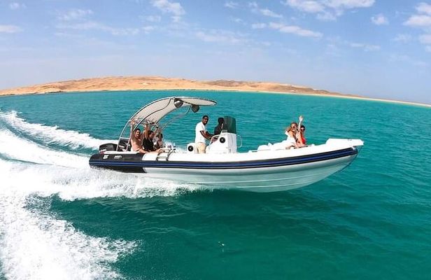 4-Hour Swim with Dolphins in a Private Speedboat in Hurghada