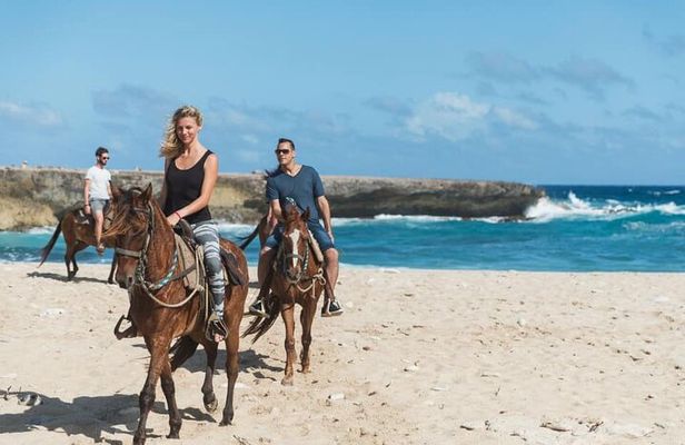 Horseback Riding Wariruri Beach Tour in Aruba