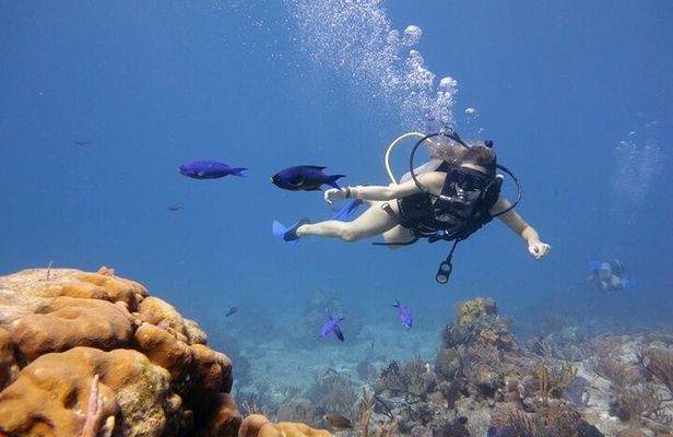 2 Stops Scuba Diving for beginners Full Day Boat Trip,Transfer, Lunch – Hurghada