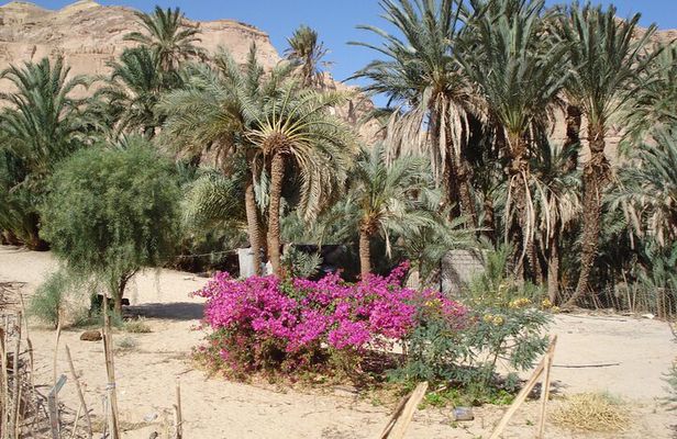 Jeep Tours Experiences from Dahab