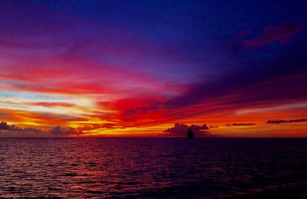 Sunset & Champagne Cruise on a Classic Schooner with boat dogs