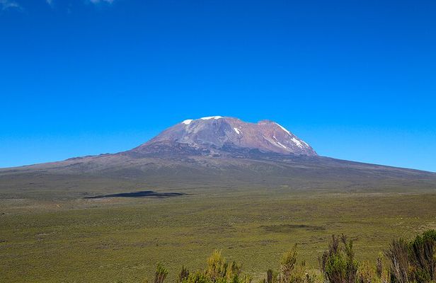 Full Day Mt Kilimanjaro to Shira Plateau Hiking Tour