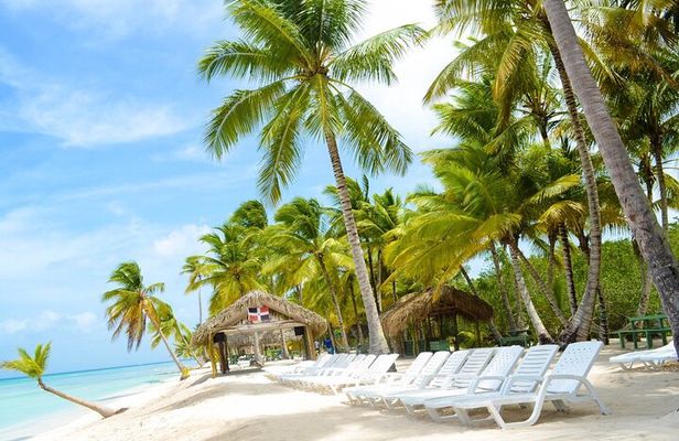 Full day- Saona Island tour From Punta cana all inclusive