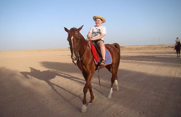 One Hour Horse or Camel Riding with Transfer- Sharm El-Sheikh