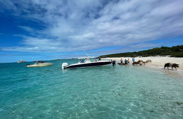 Boat Charters & Excursions