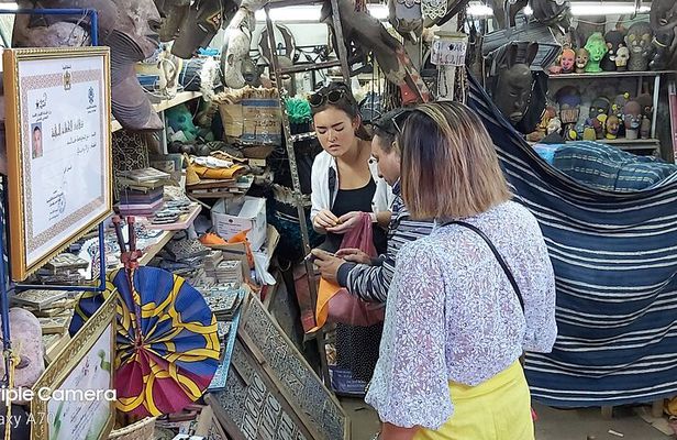 Shared Sightseeing Tour Visit to Marrakech with Licensed Guide