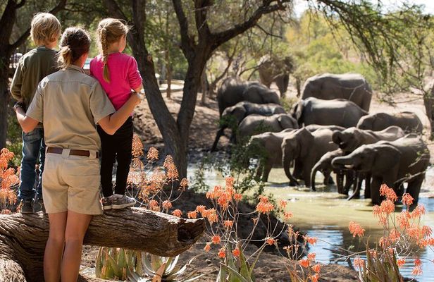 Nyerere ( Selous) National park,game drive, walking safari, & boat