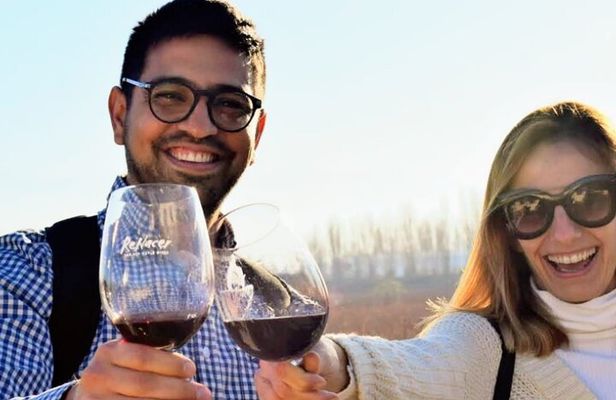 Intimate Wine Tour with Wine Pairing Lunch