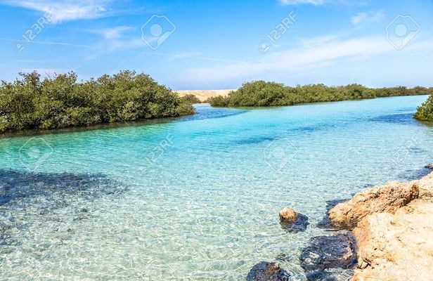 Ras Mohamed and White Island Snorkeling Trip and One Stop Diving-Sharm El Shiekh