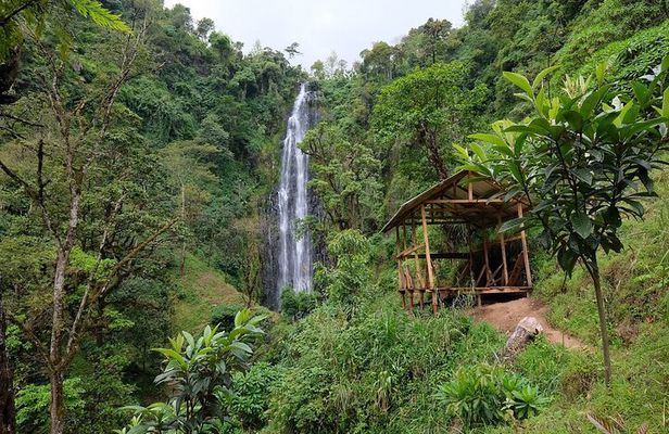 Materuni waterfalls,coffee tour & Kikuletwa(Chemka)Hot Springs