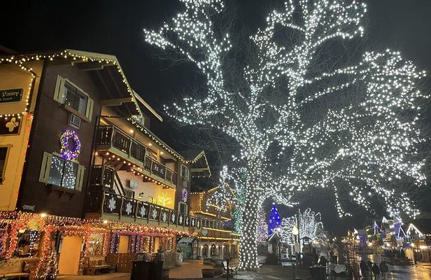 Leavenworth Christmas Lights Tour from Seattle
