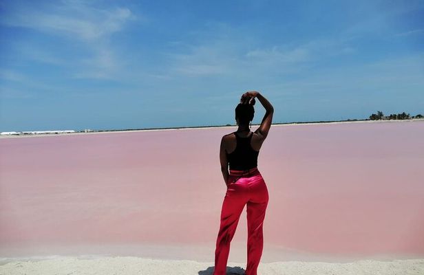 Explore Las Coloradas & Rio Lagartos from Riviera Maya