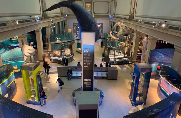 Smithsonian National Museum of Natural History with Guided Tour