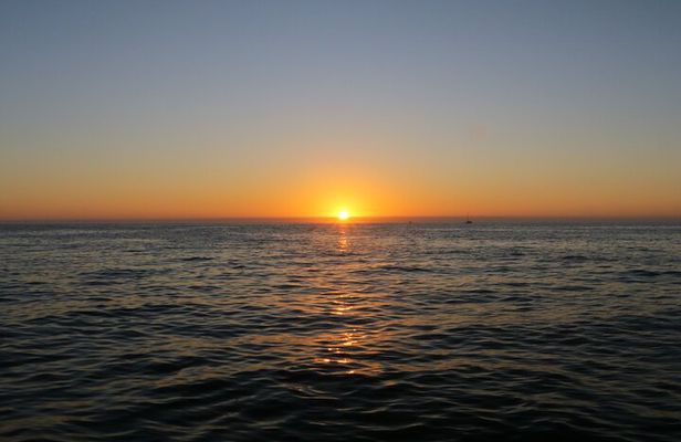 Sunset & Dolphin Tour