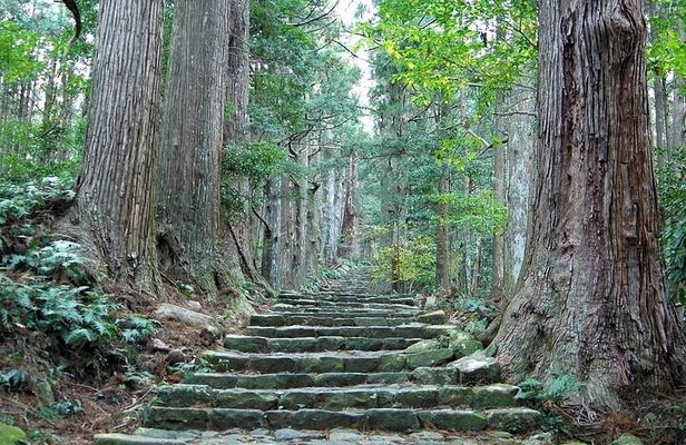 Kumano Kodo Half Day Daimonzaka and Nachi Taisha Tour