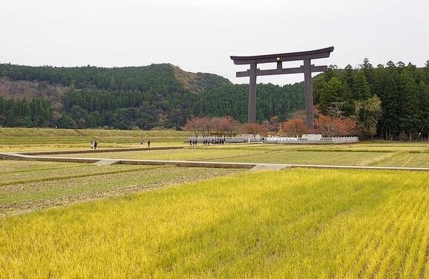 Kumanokodo 2 Day Walking Tour from Osaka