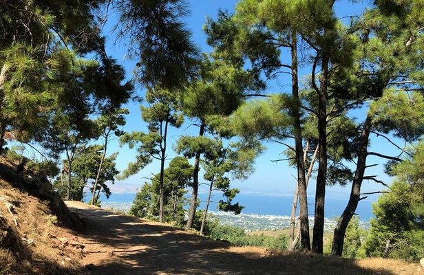 Kos 4x4 Exploration: Views, Villages & Flavors