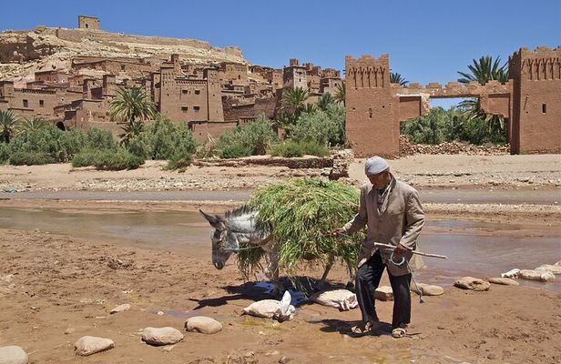 6 days tour from Casablanca to Marrakech via imperiale cities And Sahara Desert