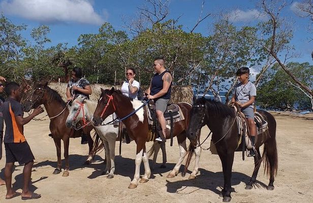 Roatan Horseback Riding and private beach daypass at bredy's key 