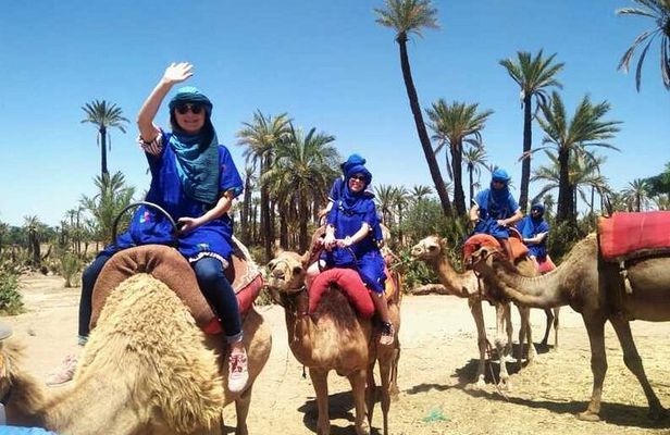 Camel Ride in the Palm Grove of Marrakech