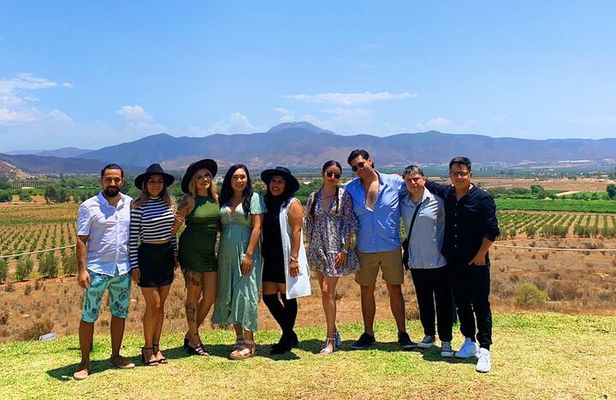 Valle de Guadalupe private tour, in a group is better! (since 10 to 19 persons).
