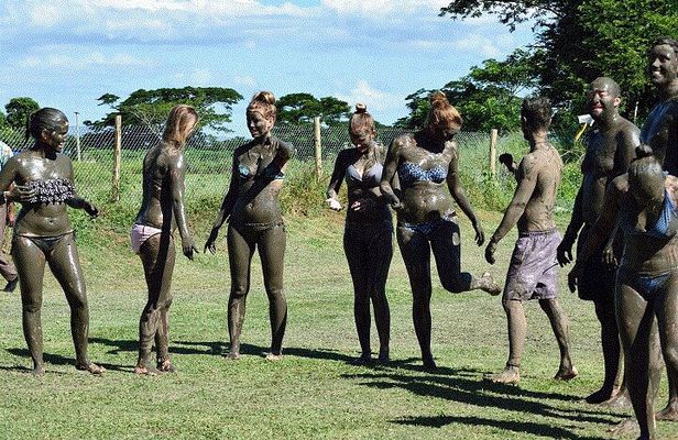 Mud Pools, Gardens, Markets, Temple & Shopping-Nadi Tour half day
