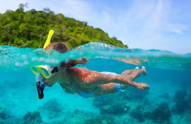 The beautiful East of Mauritius:incl Blue-Bay Marine Park, Crocodile park &Lunch