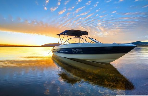 Private Speed Boat Tour and Dolphin Encounter at Ile aux Benitier