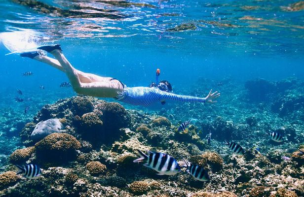Reef Snorkeling with ATV, Zipline, Cenote that includes lunch and transportation