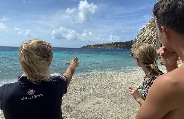 Discover Scuba Diving in Curacao