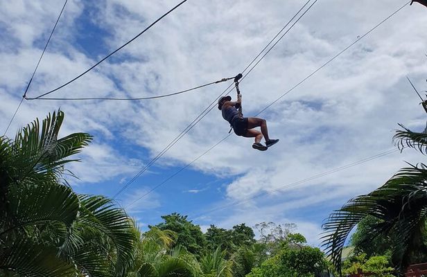 Zipp Line + Animal Sanctuary +ATVs city walk + Rum & Chocolate Factory