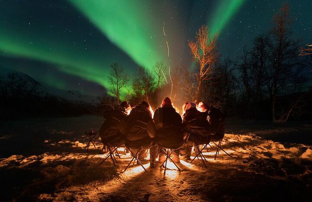 Northern Lights by Minibus. Photos Under the Lights included. Tromso