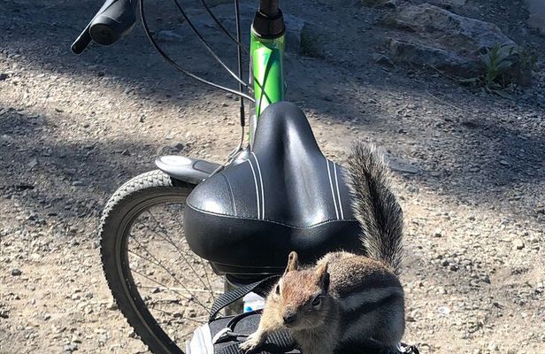 Guided Bike Tour on Historical Kettle Valley Railway at Myra Canyon & Wine Tour