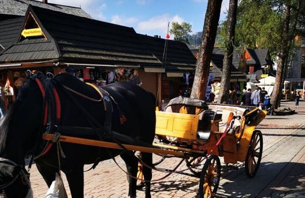 Zakopane Funicular Hill & Thermal Springs regular tour