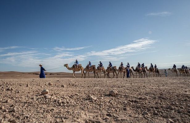 From Marrakech: Agafay Desert Camel Experience