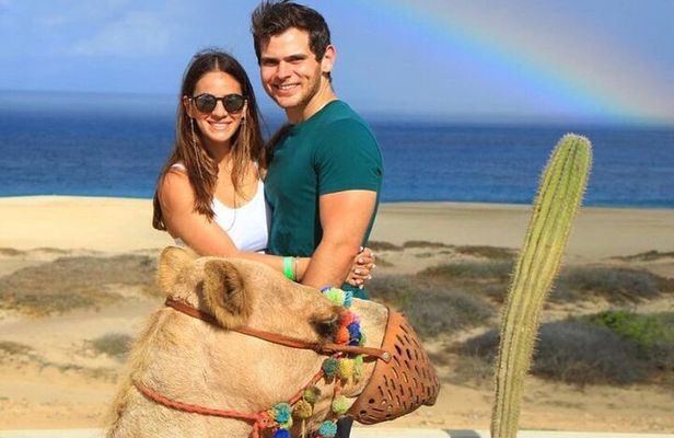 Camel Encounter and Safari Ride. Includes lunch & alcohol tasting