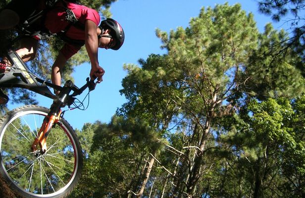 "No.1 Chiang Mai: Suthep N. Park Leisure walks & Mountain Biking"