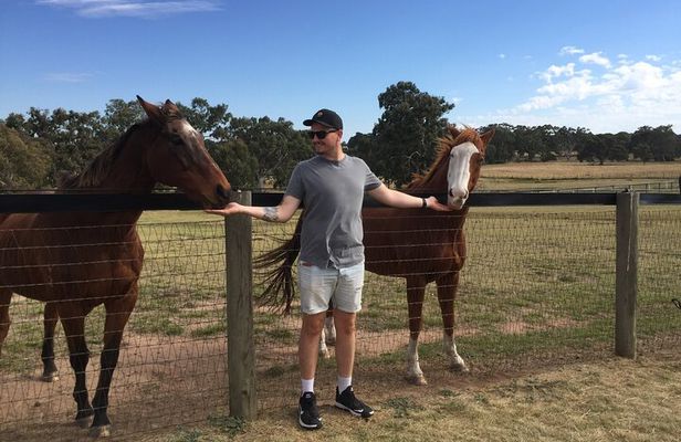Champion Racehorse Tour with Beer and Wine Tasting