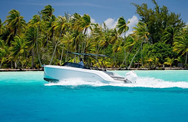 Private Reef Discovery Luxury Motu Lunch Cruise in Bora Bora