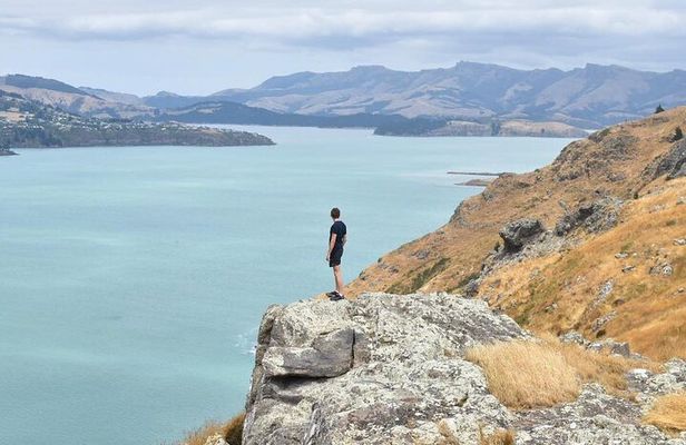 Private Walking Tour From Christchurch - Lyttelton & Godley Head